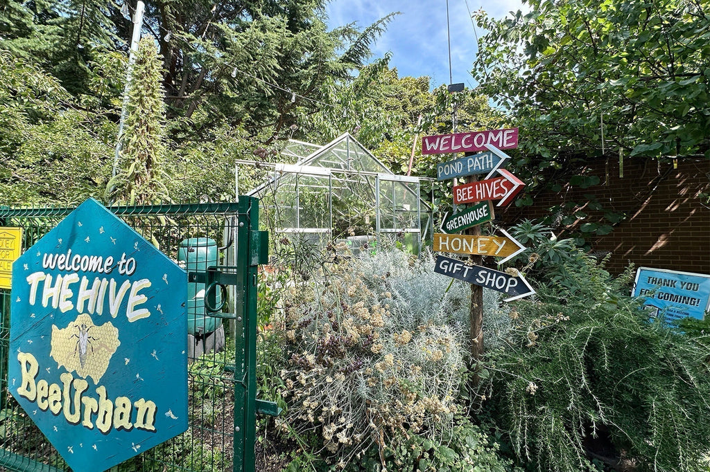 Secret Gardeners: Bee Urban